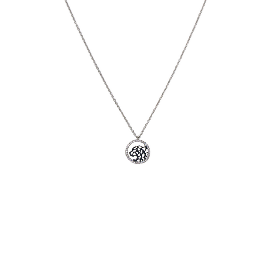 Silver Tiger Chain And Locket