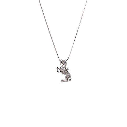 Silver Unicorn Chain And Locket